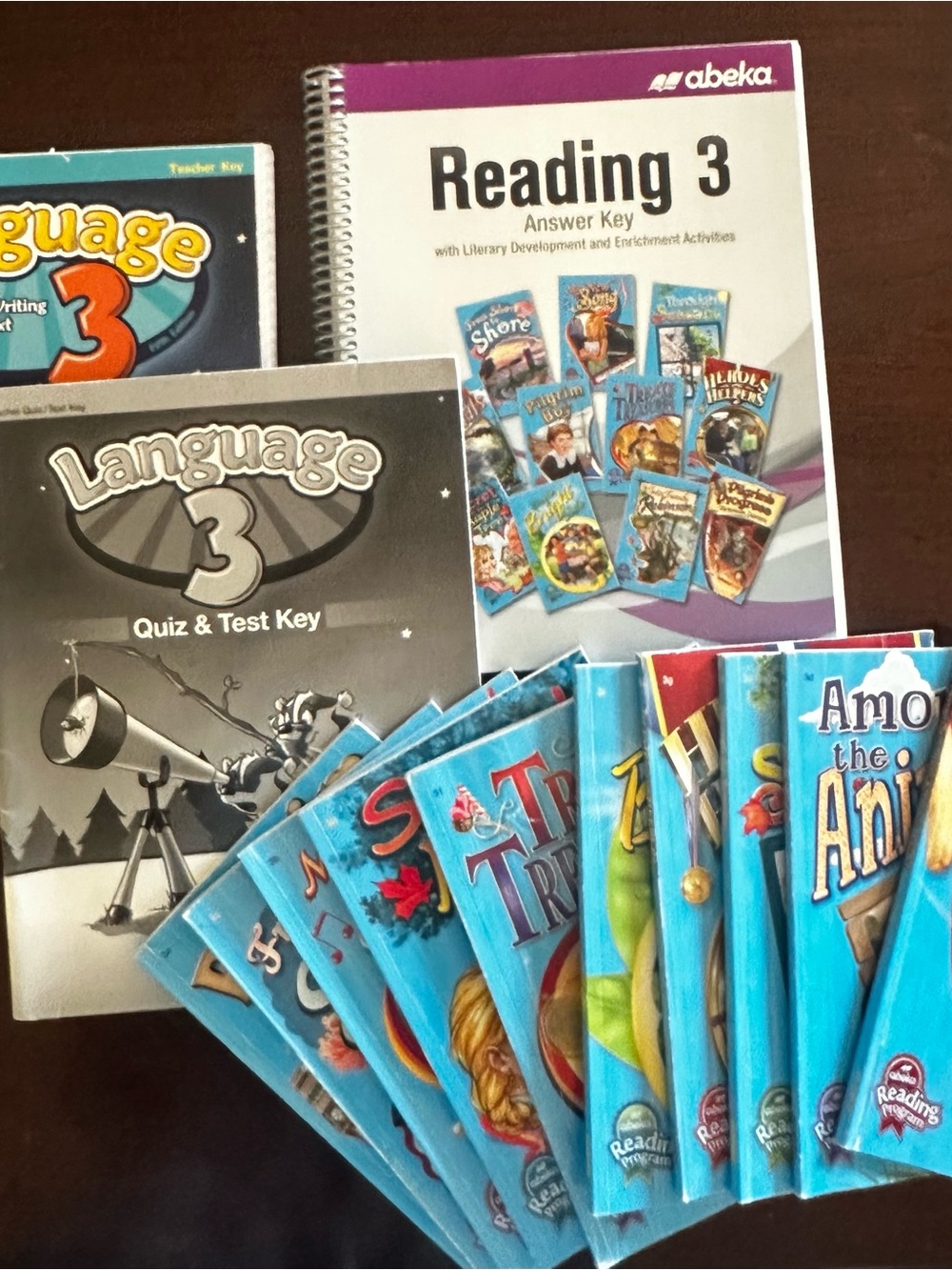 Abeka Grade 3 Homeschool Curriculum Set - Blue - Picture 6 of 7